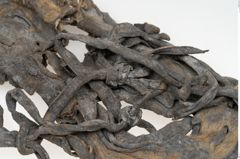 Foto von Leder (NHMW-PRAE-073498)
